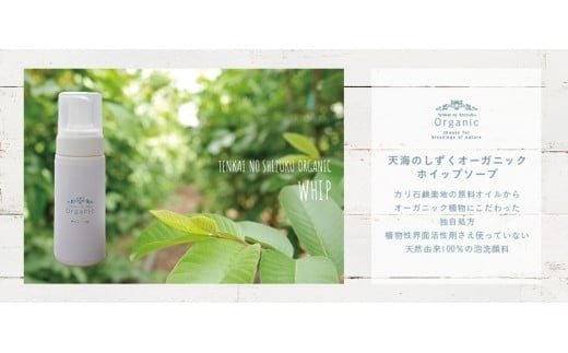 天然原料100％の天海のしずくオーガニックコスメ 4点セットA | 化粧品 化粧水 美容液 ホイップ ソープ フィトシード クリーム オーガニック コスメ グアバ 美容 美肌 柚子 ゆず 自家栽培 びよう 詰め合わせ 人気 おすすめ 高知県 南国市