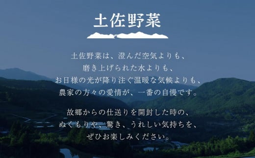 『定期便 全4回』【土佐野菜】旬の野菜の詰め合わせ　小セット【セット 新鮮 野菜 毎月  人気 おすすめ 高知県 南国市】