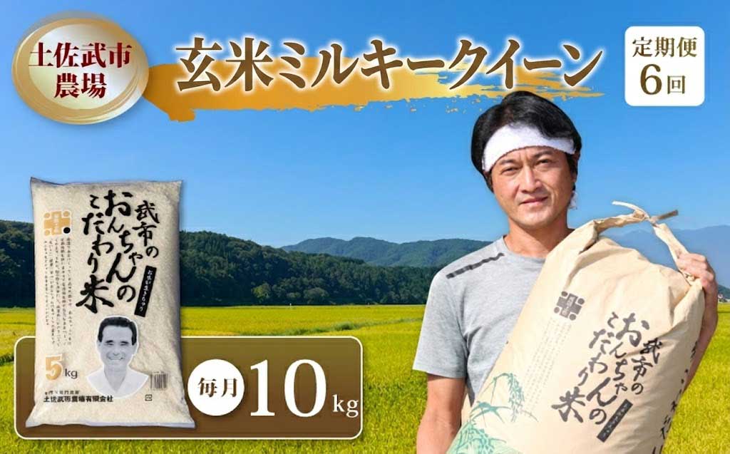 【先行予約】 新米 【お米定期便】 玄米 ミルキークイーン 【6回】 10キロ 10㎏ 数量限定 米 コメ お米 ご飯 おにぎり こめ 令和8年度 農家直送 産地直送 ふるさと納税 高知県 南国市