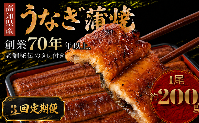 【3回 定期便】 高知県産 うなぎ 蒲焼 1尾 | 国産 日本産 うな重  うな丼 鰻 ウナギ 有頭 蒲焼き かばやき 土用丑の日 土用の丑の日 丑の日 魚 魚介 魚貝 海鮮 高級 贅沢 特別 老舗 初音 釜めし初音 鰻蒲焼 タレ付き タレ 贈答 お取り寄せ 冷凍 うな重 ギフト 贈り物 お祝い プレゼント ご褒美 人気 おすすめ 湯煎 簡単 調理 おかず お手軽 ご当地 グルメ 高知県 南国市