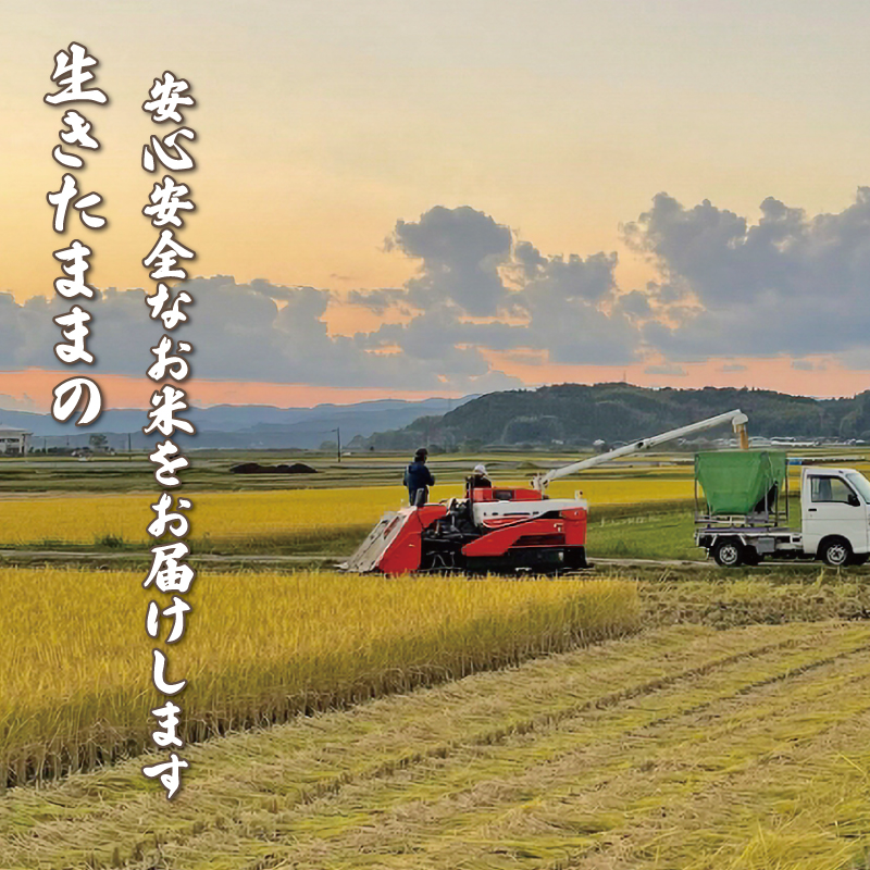 令和7年度 玄米 コシヒカリ 5キロ 数量限定 米 コメ お米 ご飯 おにぎり こめ 高知県 南国市