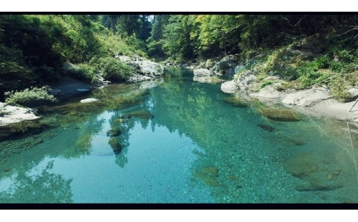 縲主ョ壽悄萓ソ 蜈ィ12蝗槭冗┌霎イ阮ャ逕溷ァ100g縺ィ譌ャ縺ョ驥手除縺ョ隧ー繧∝粋繧上○縲仙悄菴宣手除縲代舌そ繝繝 譁ー魄ョ 驥手除 豈取怦 莠コ豌 縺翫☆縺吶a 鬮倡衍逵 蜊怜嵜蟶ゅ