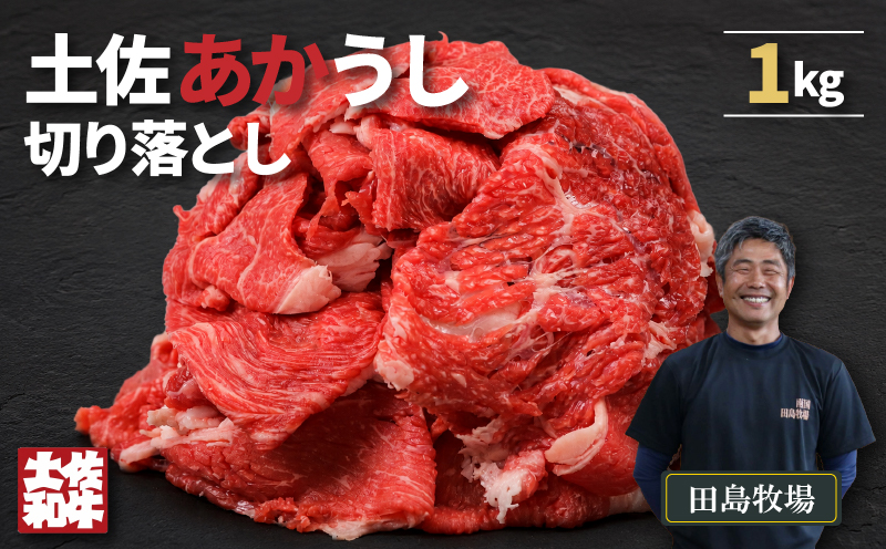土佐 あかうし 赤牛 赤身 切り落とし 1kg | 和牛 あか牛 アカウシ 牛肉 大容量 1キロ 希少 ブランド牛 国産 プレゼント ギフト 冷凍 贈答 高知県 南国市