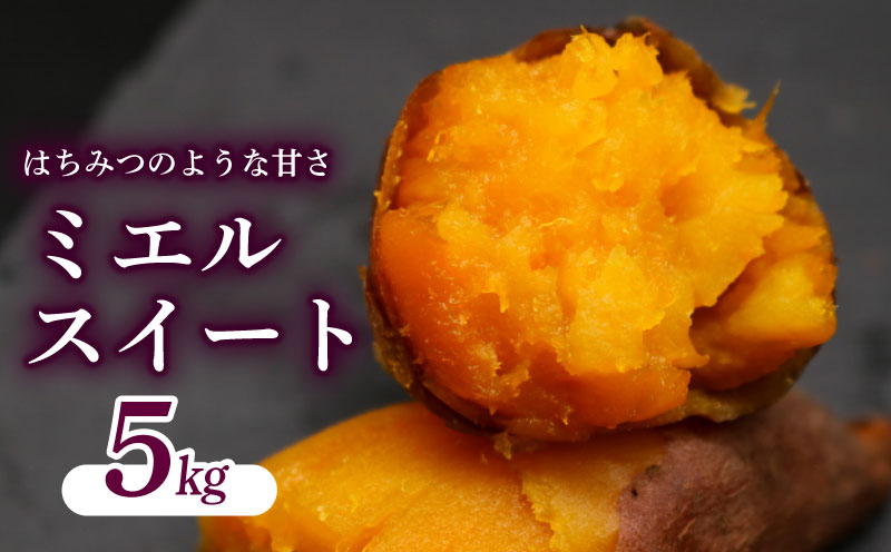 【新芋発送開始】 ミエルスイート 5キロ サツマイモ 芋 いも ミエルスィート おやつ スイーツ いも天 芋天 焼き芋 焼いも 焼芋 やきいも 高知県 南国市