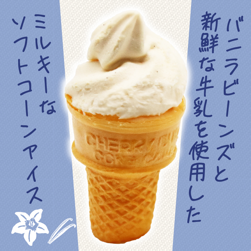 バニラソフト110ml✕20個