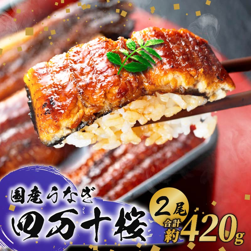 【通常用】極上国産うなぎ四万十桜 蒲焼き約210g×2尾 | うなぎ 鰻 蒲焼き 国産 四万十鰻 白焼き 調理済み タレ付き ギフト（お歳暮/お正月）高級 お取り寄せ グルメ 食べ比べ 冷凍