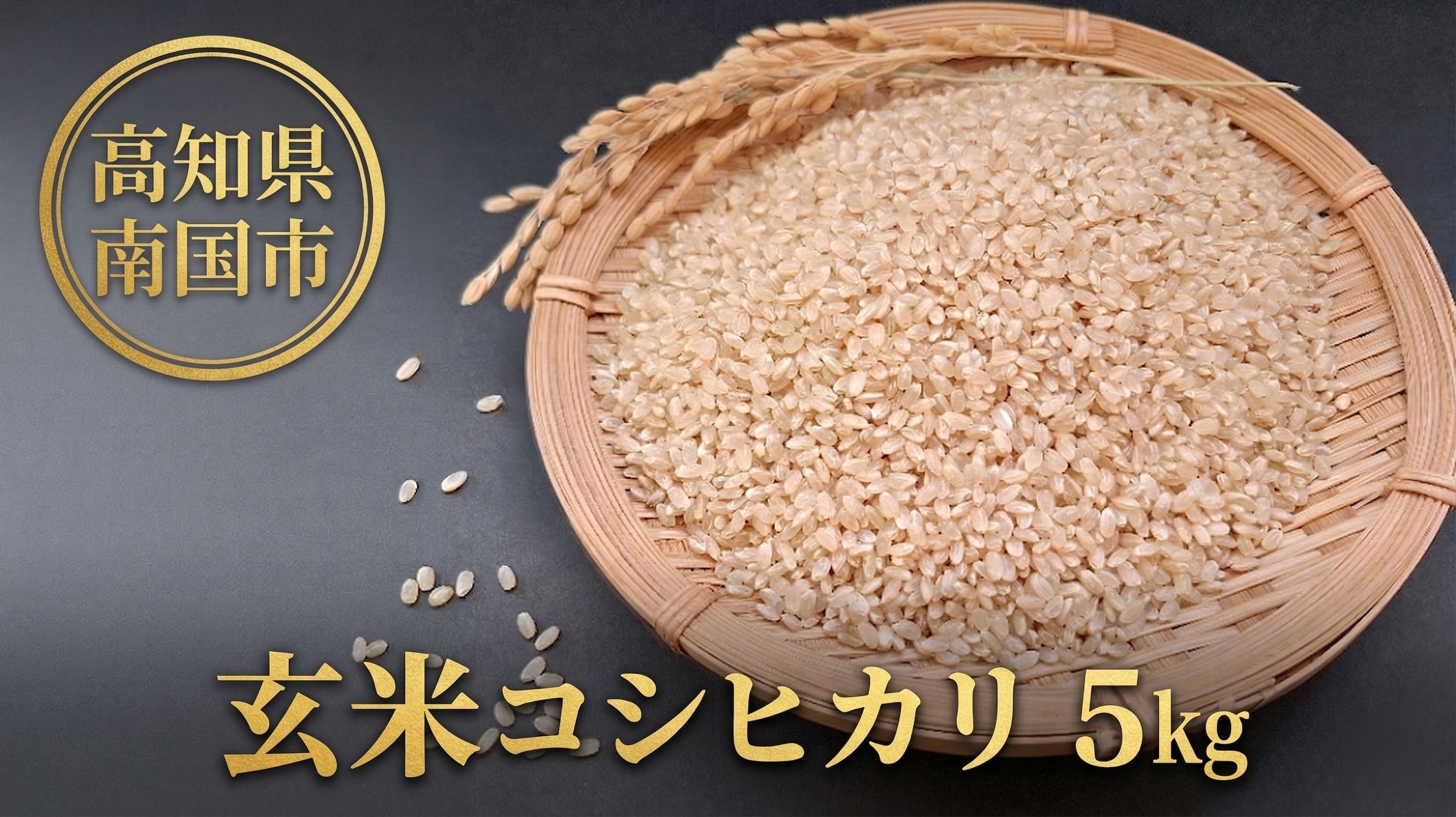 玄米 コシヒカリ 5キロ 5㎏ 数量限定 米 コメ お米 ご飯 おにぎり こめ 令和7年度 農家直送 産地直送 ふるさと納税  高知県 南国市