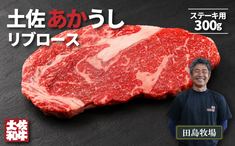 土佐 あかうし 赤牛 赤身 リブロース ステーキ用 300g | 和牛 あか牛 アカウシ 牛肉 希少 ブランド 国産 プレゼント ギフト 冷凍 贈答 高知県 南国市