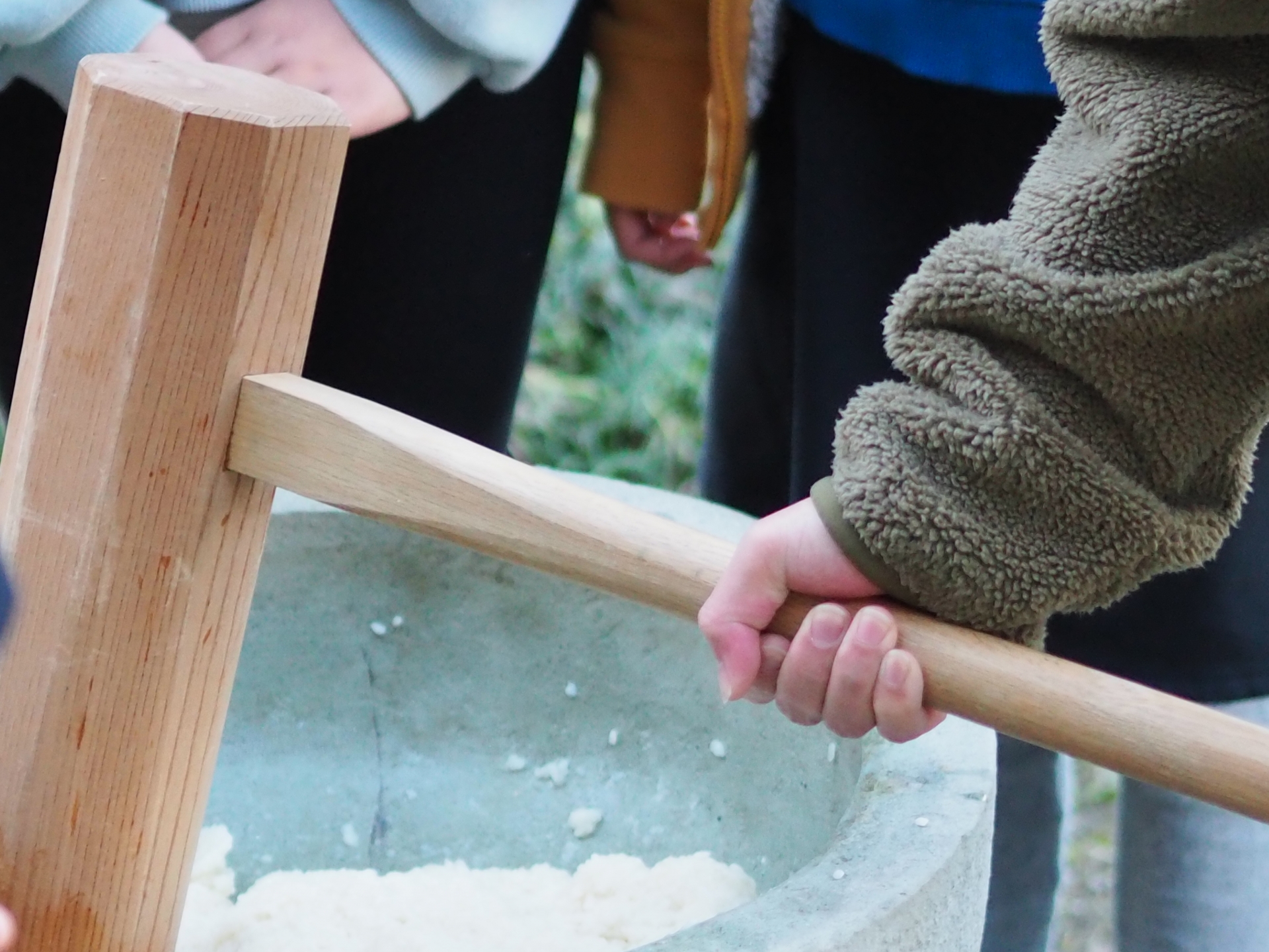 令和7年度 もち米 5キロ 数量限定 餅米 もちごめ 白米 高知県 南国市