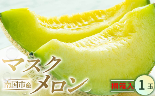 高知県南国市産／厳選桐箱入りマスクメロン（1個）【メロン フルーツ くだもの デザート 高評価 厳選 高級 ギフト 贈り物 人気 おすすめ】【メロン マスクメロン フルーツ 果物 くだもの 食品 デザート 高評価 厳選 高級 ギフト 贈り物 人気 おすすめ 】