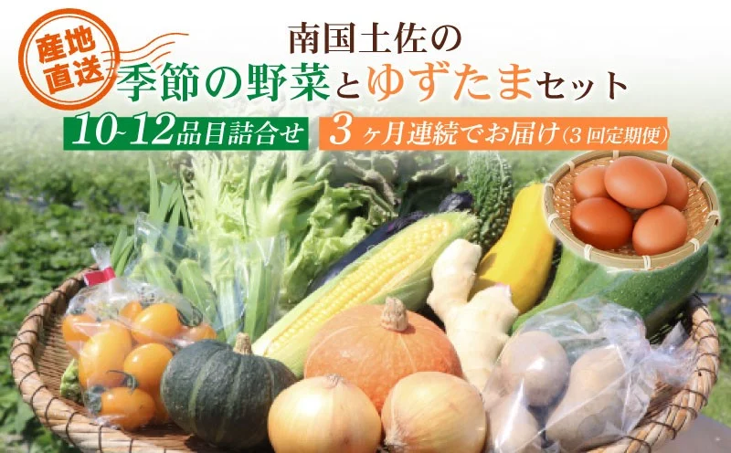 【毎月お届け 全3回コース】南国土佐の季節野菜と卵（ゆずたま）の詰め合わせセット | 毎月 連続発送 定期便 セット 詰め合わせ 旬 やさい たまご 卵 柚子 ゆず ゆずたま 農家直送 人気 高知県 南国市