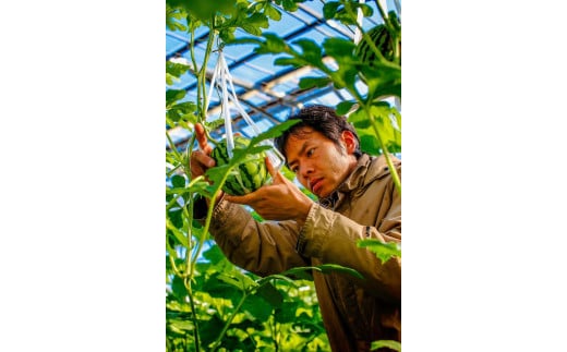 é«ç¥çååœåžç£ïŒã¡ãã³ã»ã¹ã€ã«ã»ããããã«ãŒã ãã ãã® ãã¶ãŒã è©°ãåãã ã»ãã é«è©äŸ¡ å³éž ã®ãã èŽãç© äººæ° ãããããããã«ãŒã ãã ãã® ãã¶ãŒã è©°ãåãã ã»ãã é«è©äŸ¡ å³éž ã®ãã èŽãç© äººæ° ãããã ã