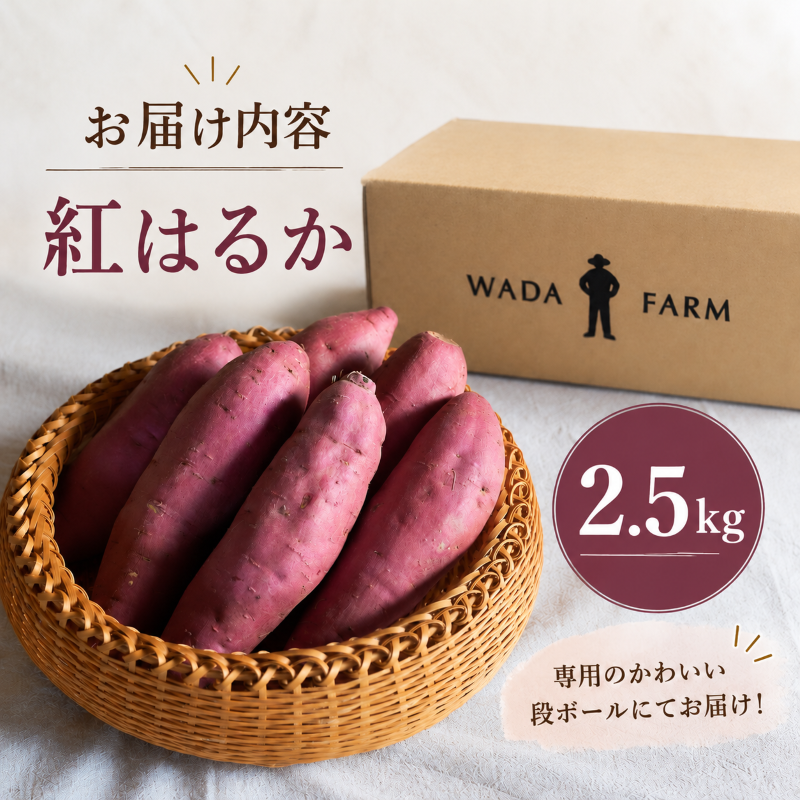 【 冬季 限定 】【 先行予約 】 高知県産 熟成紅はるか 極蜜芋 2.5kg ｜ 紅はるか さつまいも 生芋 熟成芋 高知 焼き芋 やきいも おやつ 農家直送 産地直送 ギフト WADA FARM 高知県 南国市
