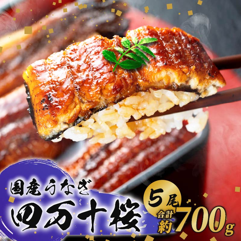 【通常用】極上国産うなぎ四万十桜 蒲焼き約140g×5尾 | うなぎ 鰻 蒲焼き 国産 四万十鰻 白焼き 調理済み タレ付き ギフト（お歳暮/お正月）高級 お取り寄せ グルメ 食べ比べ 冷凍