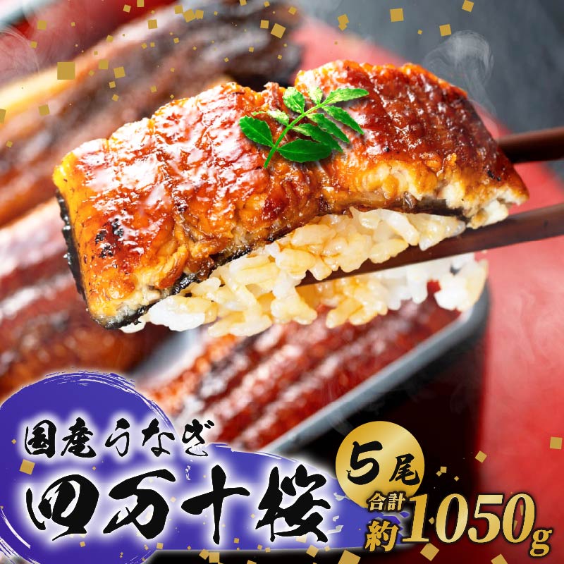 【通常用】極上国産うなぎ四万十桜 蒲焼き約210g×5尾 | うなぎ 鰻 蒲焼き 国産 四万十鰻 白焼き 調理済み タレ付き ギフト（お歳暮/お正月）高級 お取り寄せ グルメ 食べ比べ 冷凍 