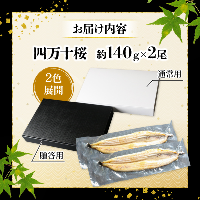【通常用】【5回定期便】極上国産うなぎ四万十桜 白焼き約140g×2尾 | うなぎ 鰻 ウナギ 白焼き 定期便 国産 四万十鰻 ウナギ 蒲焼き 調理済み タレ付き 頒布会 ギフト（お歳暮/お正月）高級 お取り寄せ グルメ 食べ比べ 冷凍