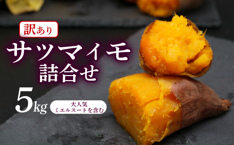 [新芋発送開始] [訳あり] サツマイモ 詰め合わせ 5キロ ミエルスイート +1種類以上 安納黄金 紅はるか 土佐紅 焼き芋 焼いも 焼芋 やきいも 野菜 やさい 食品 人気 おすすめ 高知県 南国市