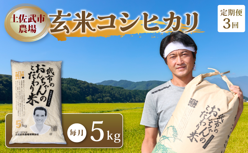 【お米定期便】 【3回】 令和7年度 玄米 コシヒカリ 数量限定 各5キロ 米 コメ お米 ご飯 おにぎり こめ 高知県 南国市