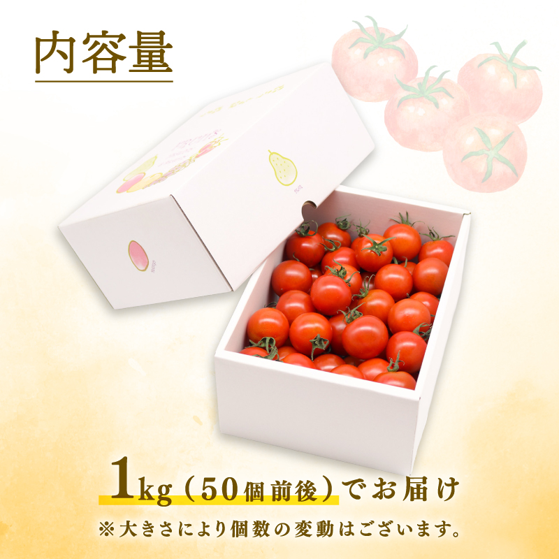 ãã«ãã£ã«ããã 1kg | å
è¡äºçŽ ããã ãã«ãã£ã«ããã ãšãŸãš ãã«ãŒã æç© éè å³éž äººæ° ã®ãã ãã¬ãŒã³ã èŽãç© ãã ãã® æ¬ ãåãå¯ã çã ç£å°çŽéããã å£ç¯éå® æééå® è¥¿å³¶åèžå£å° é«ç¥ç ååœåž