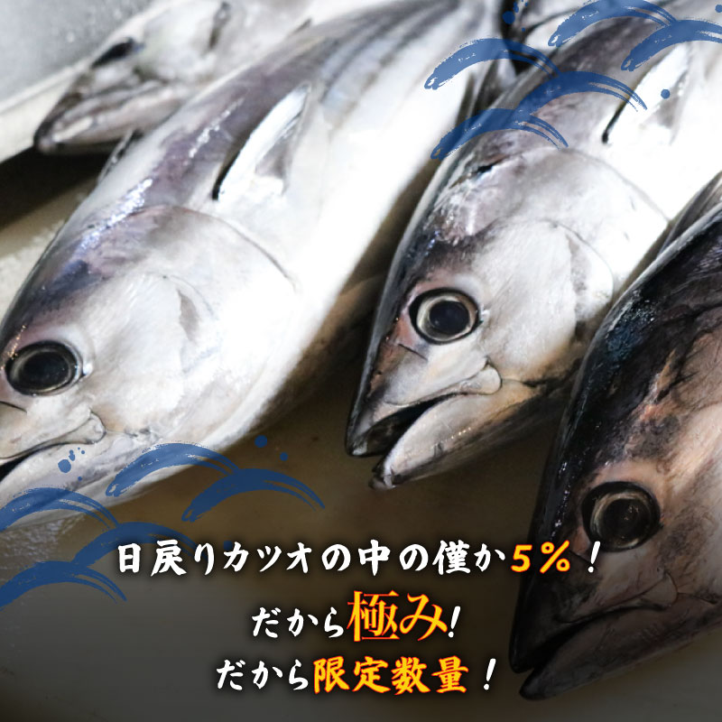 もちもち食感極みかつお　刺身250g×2節＆藁焼きたたき250g×2節　【鰹 たたき かつおのたたき わら焼き 魚 魚介 刺身 刺し身 人気 かつお 高級 極み 高知県 南国市】