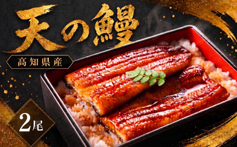 鰻 蒲焼 2尾 セット | 土佐料理司 うなぎ ウナギ 蒲焼き かばやき 丼 おすすめ 丑の日 贈答用 父の日 母の日 内祝い 出産祝い 結婚祝い お祝い 極上 御中元 ギフト用 家庭用 贈り物 極上 真空 人気 三代目天の鰻 高知県 南国市