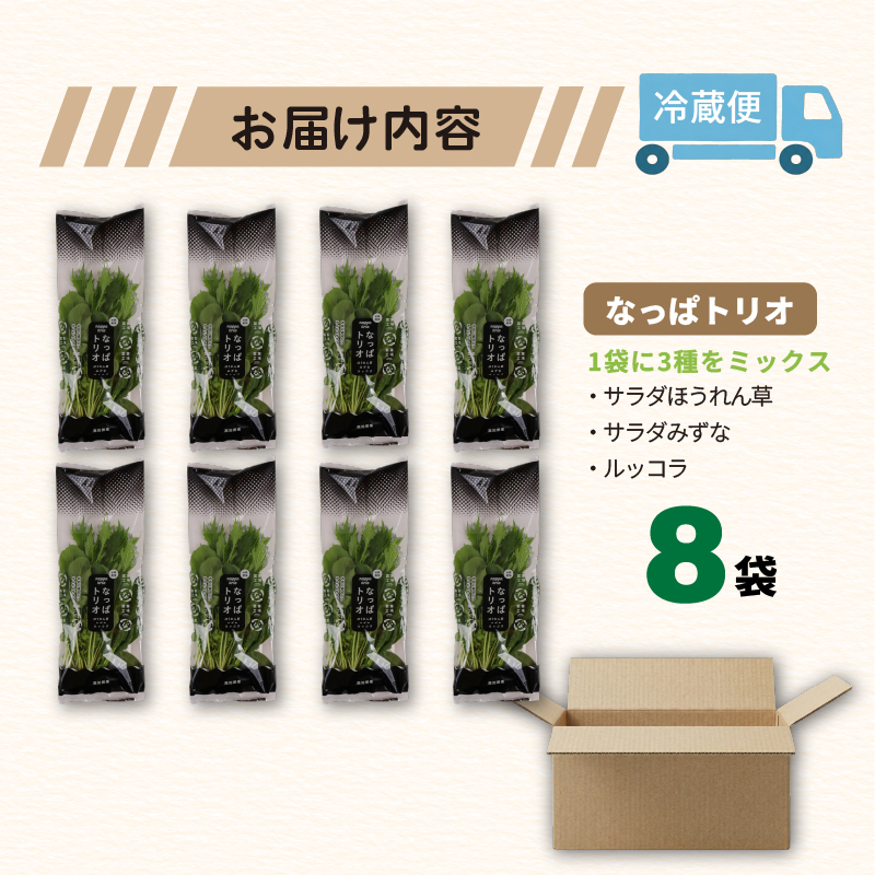 葉野菜 サラダ 3種ミックス ルッコラ ほうれん草 みずな なっぱトリオ | ほうれんそう ホウレンソウ 水菜 ミズナ 生食 野菜 セット 新鮮 健康 人気 おすすめ 高知県 南国市