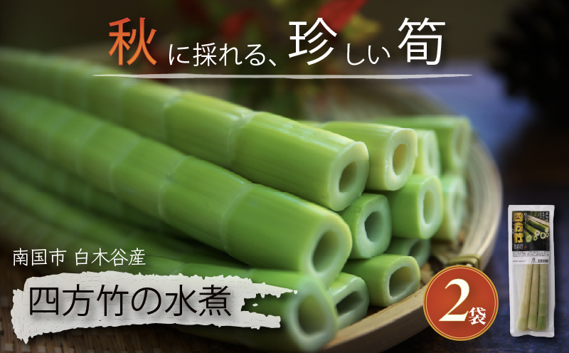 【8月までの受付限定】 国産 四方竹 水煮 120g× 2袋 (2026年11月～発送) | 筍 たけのこ 竹の子 タケノコ 先行予約 珍味 希少 煮物 炊き込みご飯 天ぷら 炒め物 常温 高知 南国市