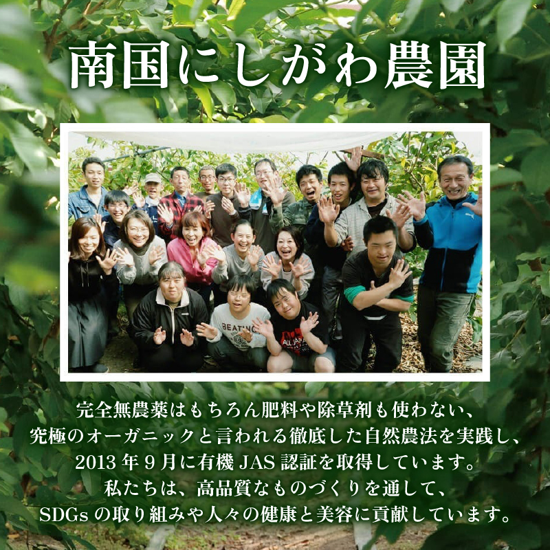 国産有機栽培グァバ葉100％使用 土佐國グァバ茶（2g×30包）【お茶 飲料 健康茶 国産 漢方 人気 おすすめ 高知県 南国市】
