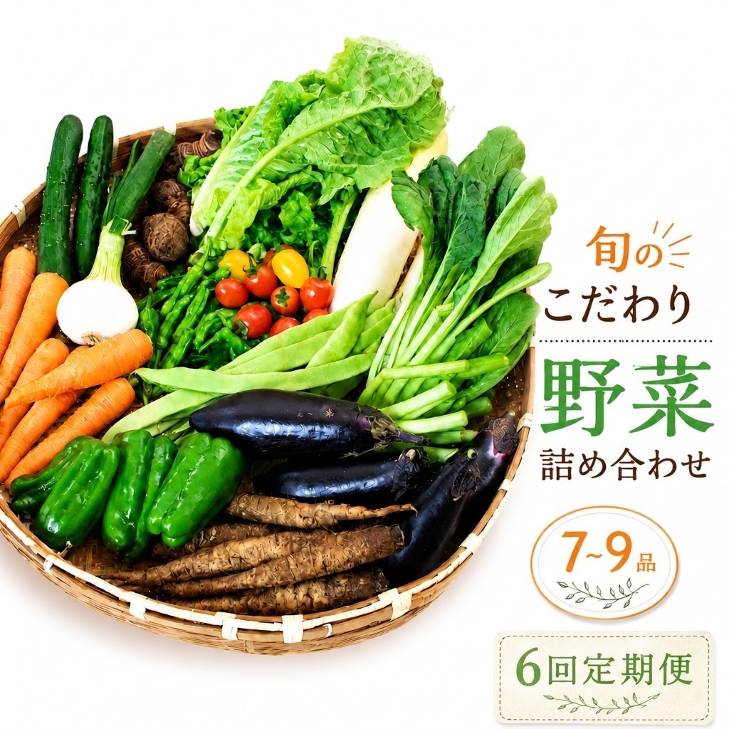 【先行予約】 【6回定期便】 朝採れ新鮮！ 野菜セット(7～9品) | 野菜セット 新鮮 野菜 人気 季節の野菜 数量限定 おすすめ 森尾商店 高知県 南国市