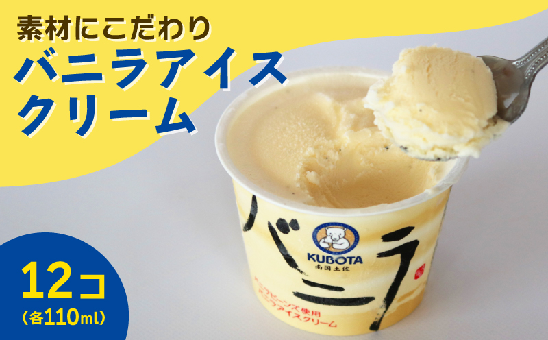 バニラアイスクリーム 12個 アイス アイスクリーム ソフトクリーム バニラ ジェラート