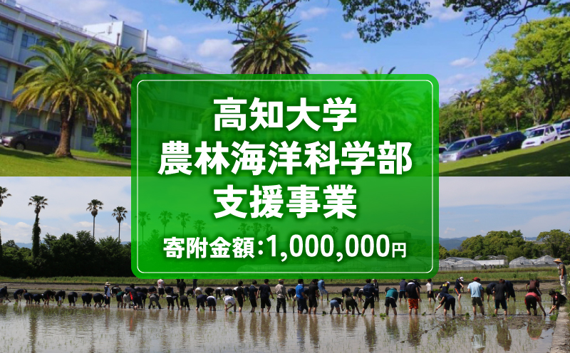 【返礼品なし/1,000,000円】 高知大学 農林海洋科学部 支援事業(教育・研究・地域貢献を支える寄附) | 実習・フィールドワーク支援 研究支援 地域貢献活動支援 人材育成 高知県 南国市 高知大