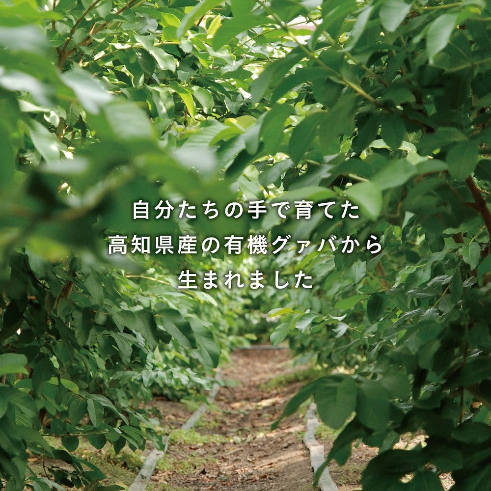 倩ç¶åæ100ïŒ
ã®å€©æµ·ã®ããããªãŒã¬ããã¯ã³ã¹ã¡ 2ç¹ã»ãã | åç²§å åç²§æ°Ž çŸå®¹æ¶² ãªãŒã¬ãã㯠ã³ã¹ã¡ ã°ã¢ã çŸå®¹ çŸè æå ãã èªå®¶æ œå¹ ã³ãã è©°ãåãã äººæ° ãããã é«ç¥ç ååœåž