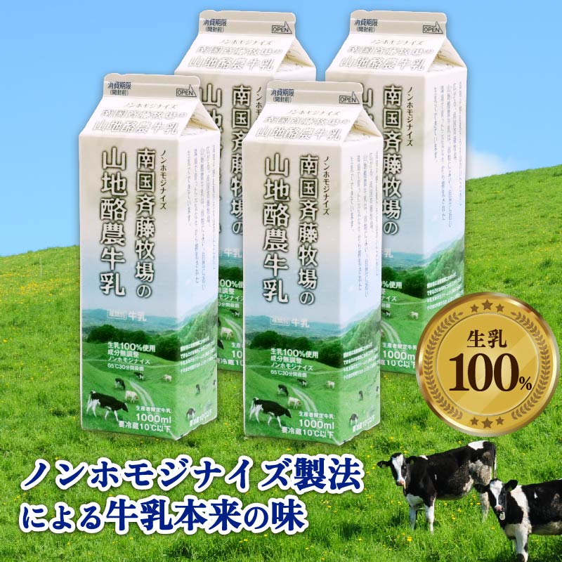 【6か月定期便】山地酪農牛乳1L×4本【バターができる 低温殺菌 生乳100％ 成分無調整牛乳 ノンホモジナイズ製法 お菓子作り ぎゅうにゅう ミルク 南国斉藤牧場 高知県 南国市】