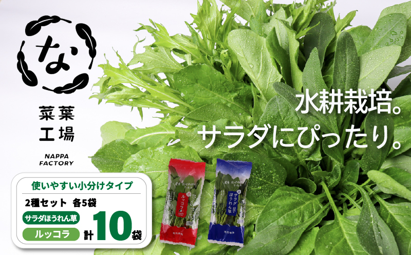 葉野菜 2種セット サラダ ほうれん草 ルッコラ | ほうれんそう ホウレンソウ 水菜 ミズナ 生食 野菜 セット 新鮮 健康 人気 おすすめ 高知県 南国市