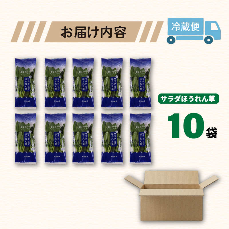 葉野菜 サラダ ほうれん草 | ほうれんそう ホウレンソウ 水菜 ミズナ 生食 野菜 セット 新鮮 健康 人気 おすすめ 高知県 南国市