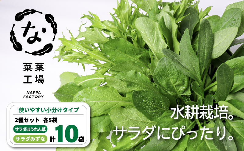 葉野菜 2種セット サラダ ほうれん草 みずな | ほうれんそう ホウレンソウ 水菜 ミズナ 生食 野菜 セット 新鮮 健康 人気 おすすめ 高知県 南国市