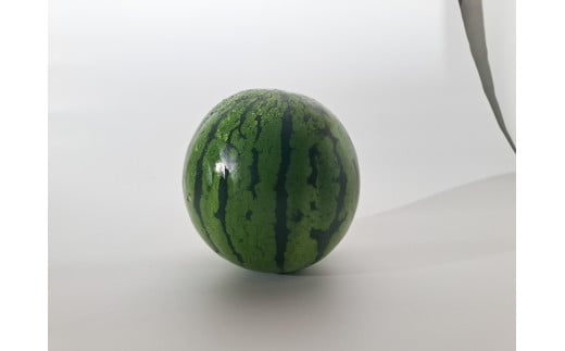 é«ç¥çååœåžç£ïŒã¡ãã³ã»ã¹ã€ã«ã»ããããã«ãŒã ãã ãã® ãã¶ãŒã è©°ãåãã ã»ãã é«è©äŸ¡ å³éž ã®ãã èŽãç© äººæ° ãããããããã«ãŒã ãã ãã® ãã¶ãŒã è©°ãåãã ã»ãã é«è©äŸ¡ å³éž ã®ãã èŽãç© äººæ° ãããã ã