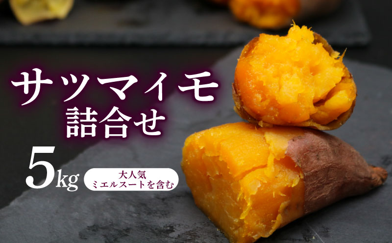 【新芋発送開始】 サツマイモ 詰め合わせ 5キロ ミエルスイート ＋1種類以上 安納黄金 紅はるか 土佐紅 焼き芋 焼いも 焼芋 やきいも 野菜 やさい 食品 人気 おすすめ 高知県 南国市