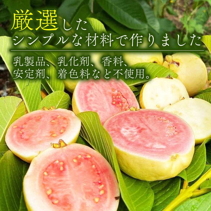 ãïŒåå
¥ããææ©ã°ã¢ã蟲åã®ãªããããžã§ã©ãŒã