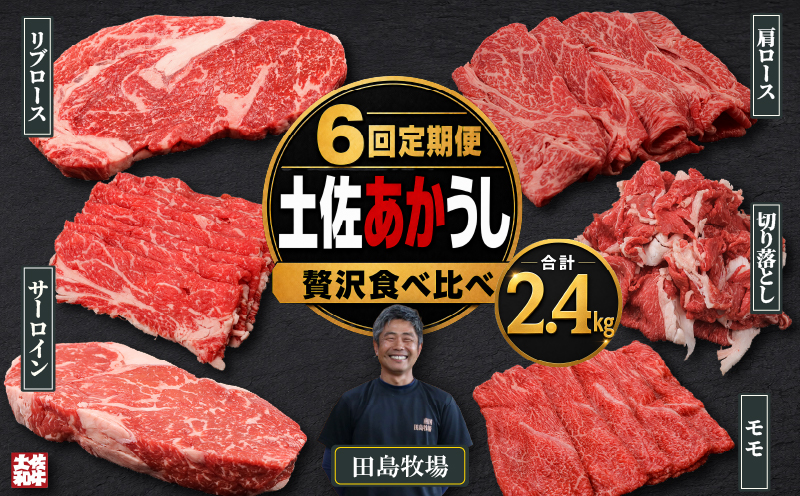 【6回 定期便】 土佐 あかうし 赤牛 赤身 贅沢 食べ比べ 6種 2.4kg | 和牛 あか牛 アカウシ 牛肉 希少 ブランド 国産 プレゼント ギフト 冷凍 贈答 高知県 南国市