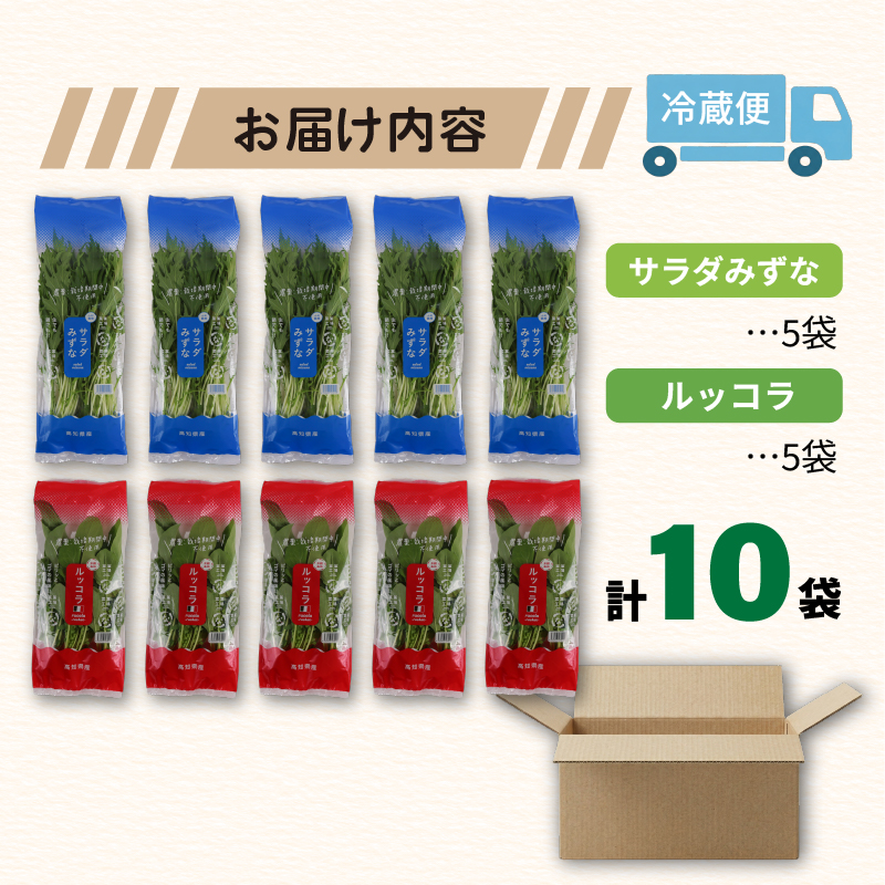 葉野菜 2種セット サラダ みずな ルッコラ | ほうれんそう ホウレンソウ 水菜 ミズナ 生食 野菜 セット 新鮮 健康 人気 おすすめ 高知県 南国市