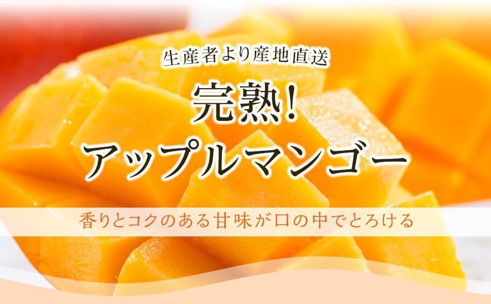 【年2回定期便】メロン・マンゴー (指定月発送) | 定期便 マスクメロン 西島マンゴー フルーツ 果物 厳選 高級 青肉メロン 人気 デザート ギフト プレゼント 贈り物 くだもの 旬 お取り寄せ ギフト メロン 甘い メロン 高糖度メロン 先行予約 産地直送マンゴー メロン 高知県 南国市