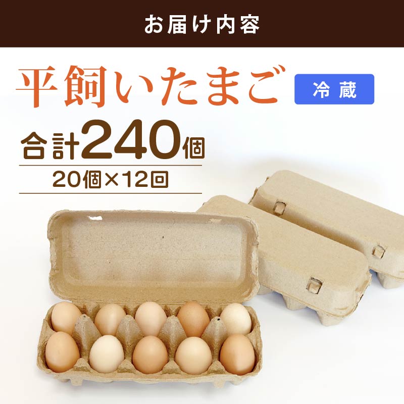 【定期便12回】 平飼い卵 20個入り たまご 卵 タマゴ 鶏卵