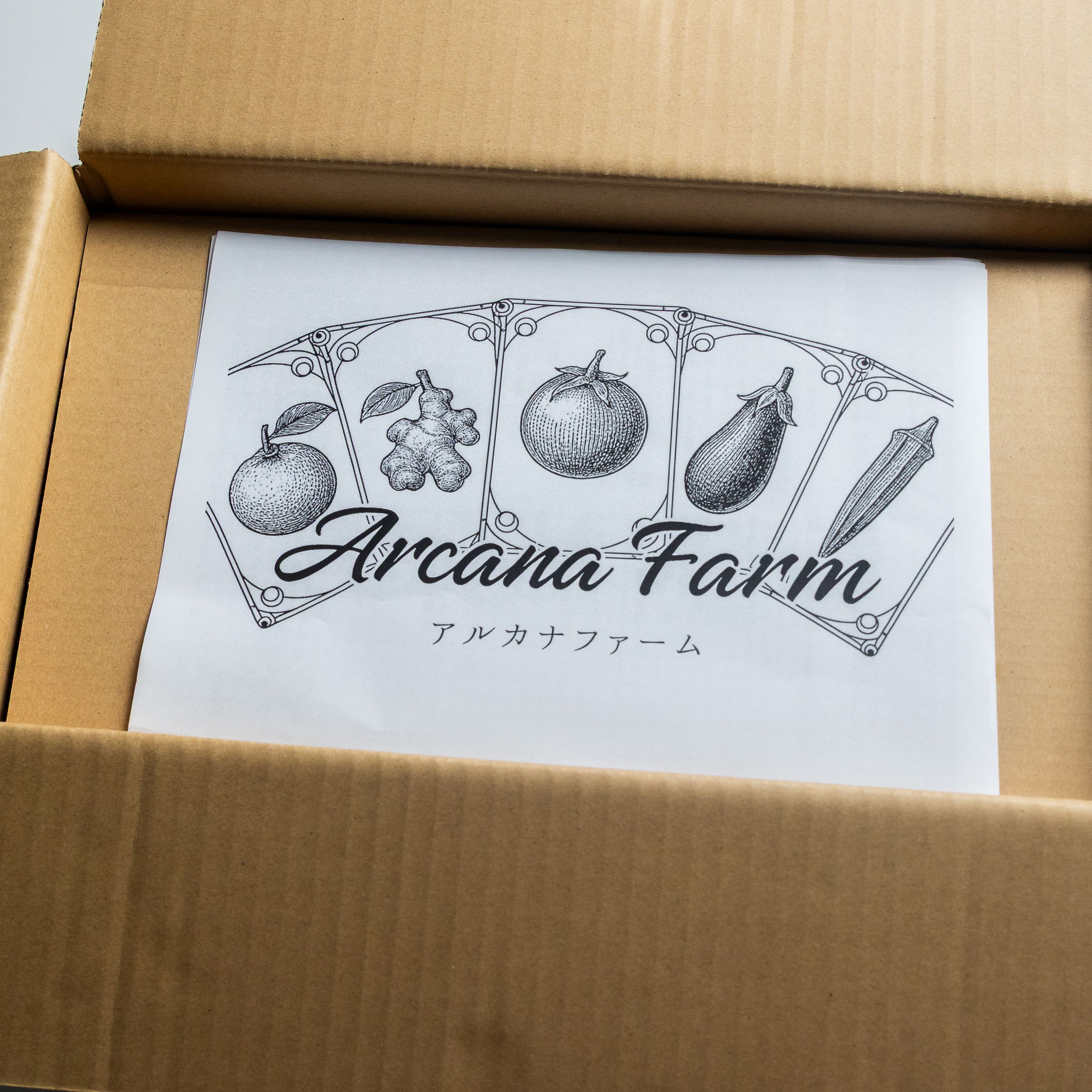 縲3蝗槫ョ壽悄萓ソ縲代%縺繧上j縺ョ譁ー魄ョ驥手除繧サ繝繝 8~11蜩∫岼 | 驥手除繧サ繝繝 譁ー魄ョ 驥手除 莠コ豌 蟄」遽縺ョ驥手除 縺翫☆縺吶a 鬮倡衍逵 蜊怜嵜蟶