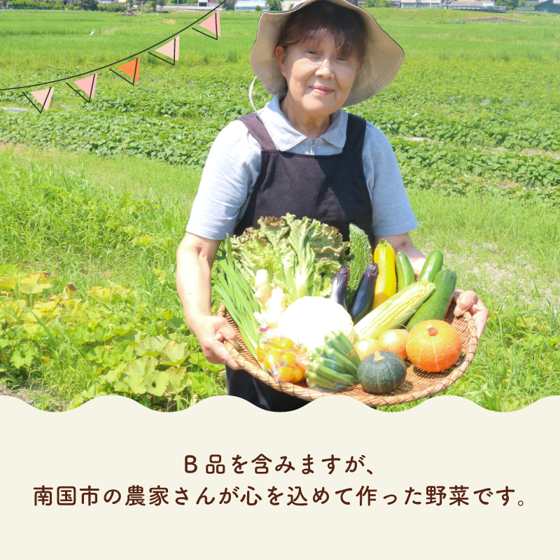 【野菜定期便全6回お届けコース】高知県産 南国土佐の季節野菜と卵（ゆずたま）の詰め合わせセット【新鮮野菜セット卵付き】【セット 詰め合わせ 旬 たまご 卵 柚子 人気 高知県 南国市】