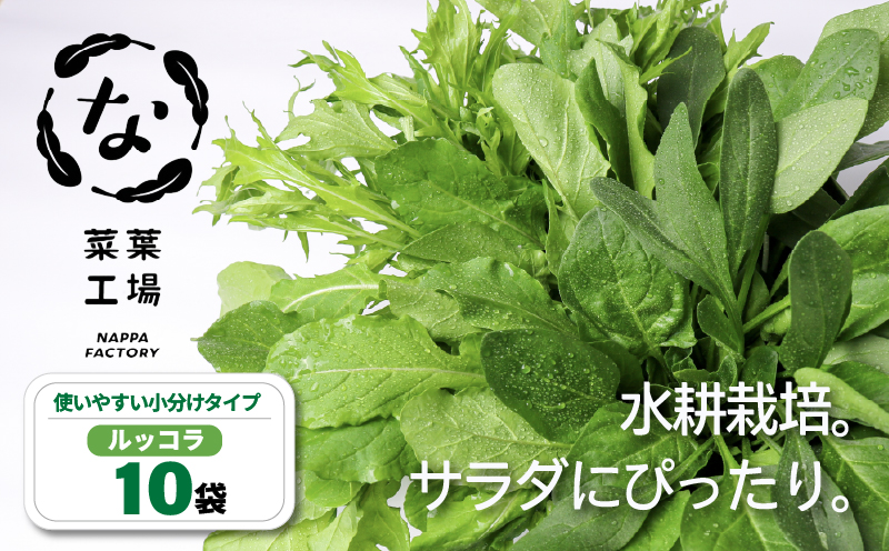 葉野菜 サラダ ルッコラ | ほうれんそう ホウレンソウ 水菜 ミズナ 生食 野菜 セット 新鮮 健康 人気 おすすめ 高知県 南国市