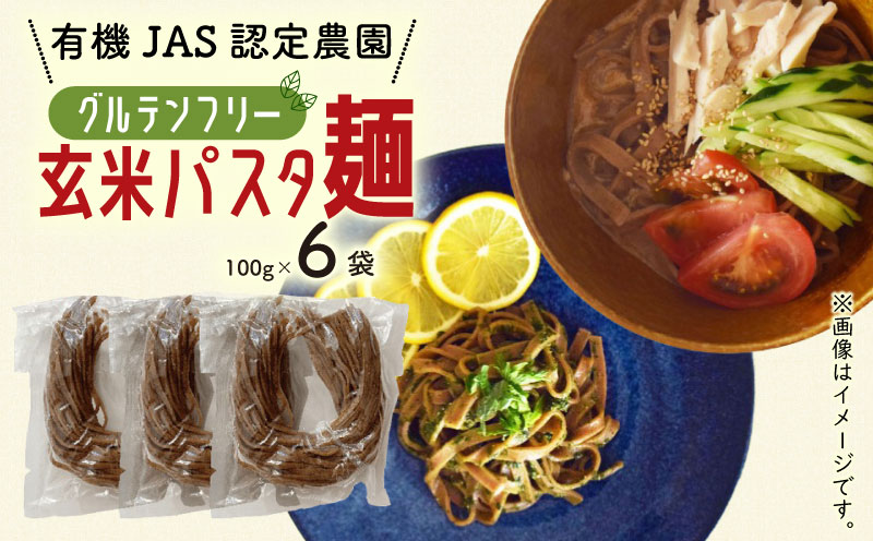 有機グアバ農園のグルテンフリー玄米パスタ麺 100g×6袋セット【グルテン フリー ダイエット 健康 食品 人気 おすすめ 高知県 南国市】