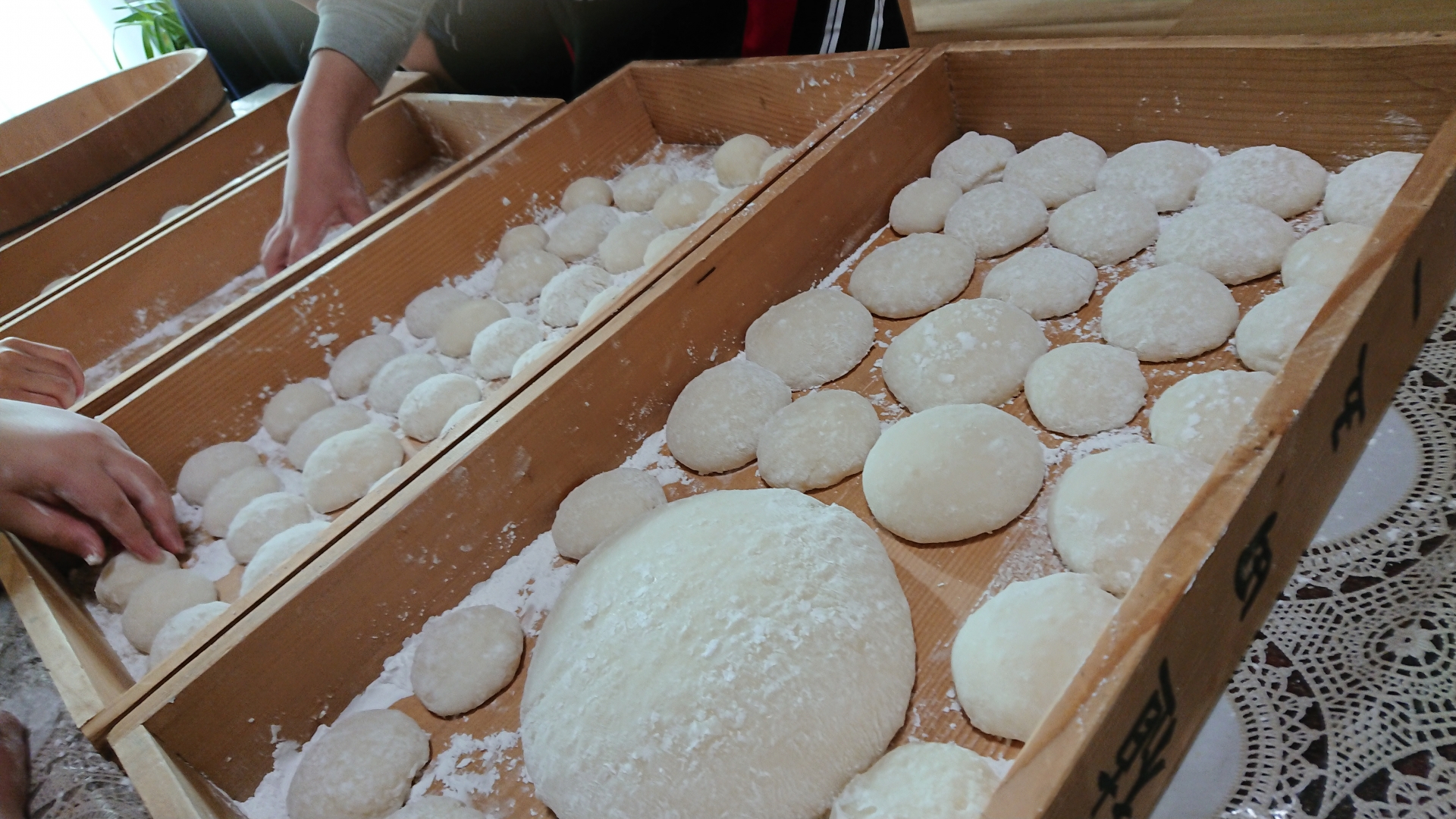 令和7年度 もち米 5キロ 数量限定 餅米 もちごめ 白米 高知県 南国市