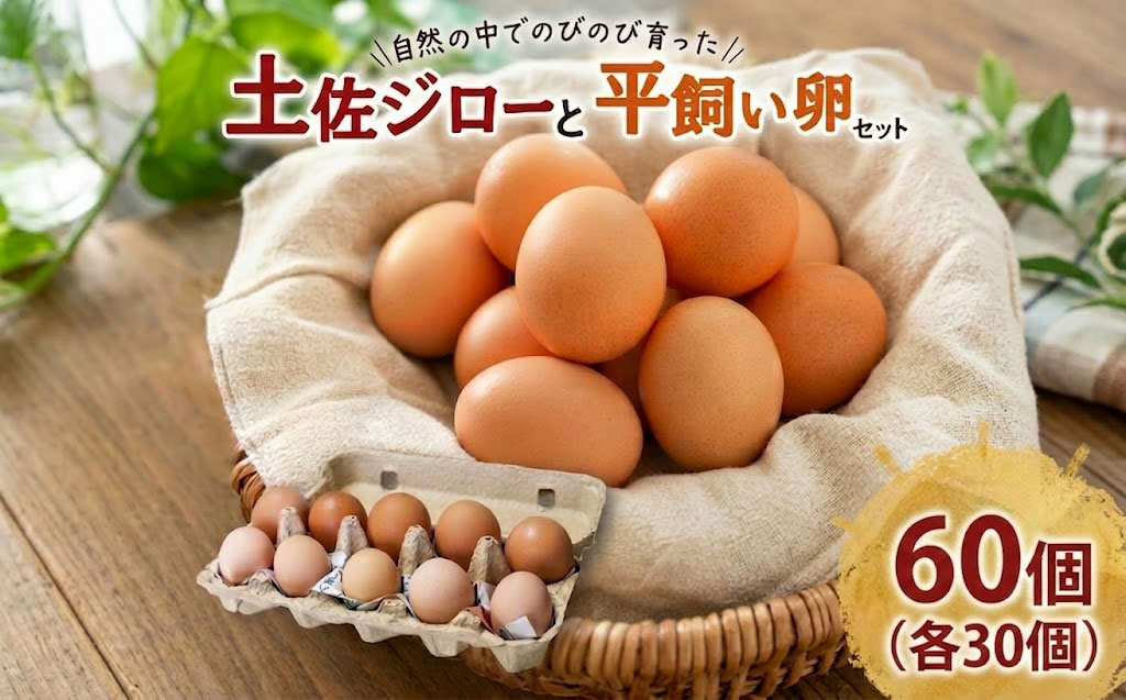 土佐ジローの卵と平飼い卵 セット 各30個(10個×6パック) 合計60個 | たまごのおくだ 新鮮 土佐ジロー 平飼い 卵 たまご 60個 鶏卵 卵黄 エッグ たまごかけ ご飯 玉子 タマゴ 玉子焼き たまご焼き すき焼き 鶏 ケーキ セット 2種 食べ比べ 産地直送 国産 ふるさと納税 高知県 南国市
