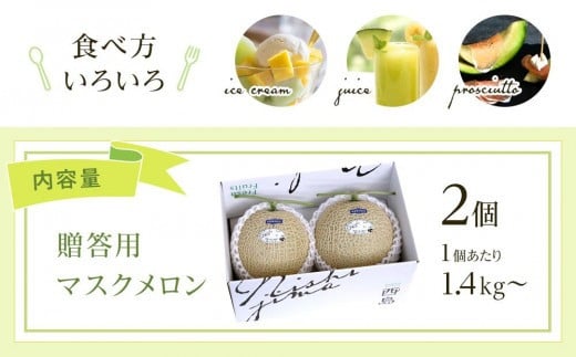 高知県南国市産／贈答用マスクメロン（2個）【メロン フルーツ くだもの デザート 高評価 厳選 高級 ギフト 贈り物 人気 おすすめ】【メロン マスクメロン フルーツ 果物 くだもの 食品 デザート 高評価 厳選 高級 ギフト 贈り物 人気 おすすめ 】
